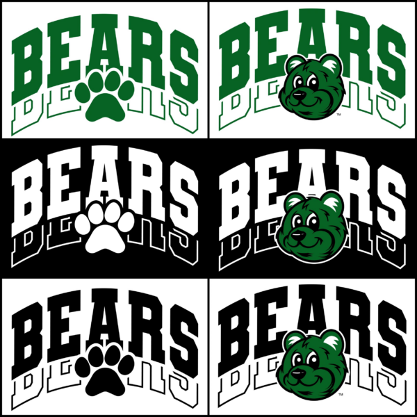A set of six bears with their name on them.