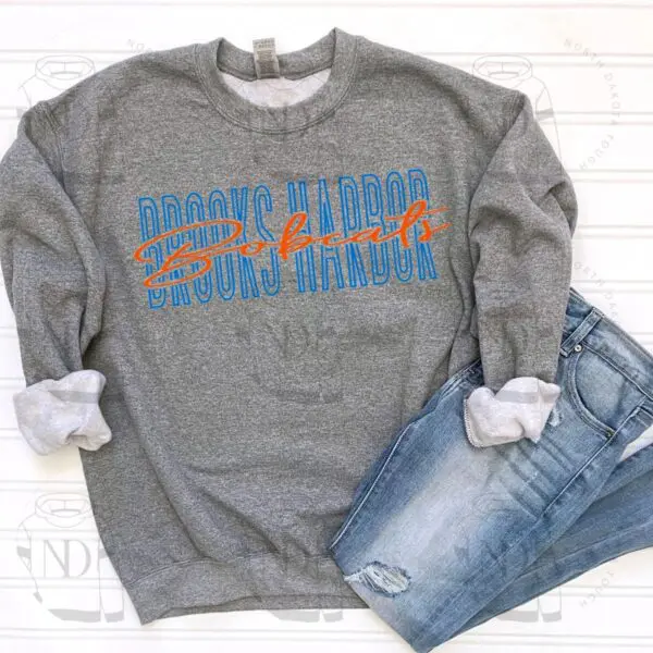 A sweatshirt that says " albany, ny blood donor network ".