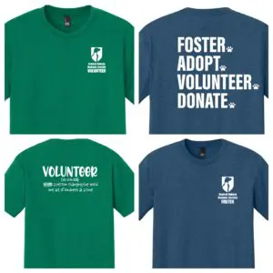 CDHS- Volunteer/Foster