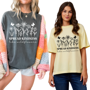 NDSCA - kindness spring