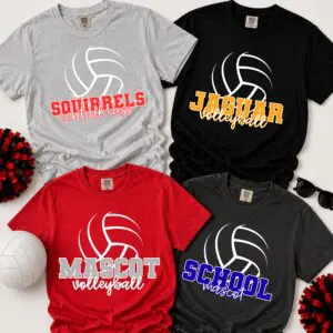 custom volleyball