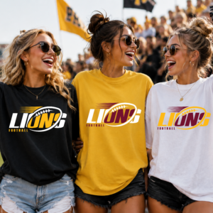 Lions 2 tone football